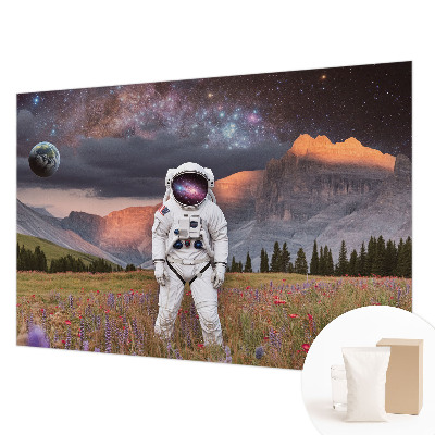 Modern wall mural for bedroom Cosmic landscape
