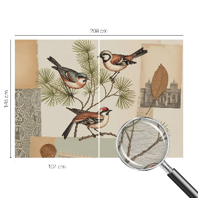 Decorative wall mural for living room Birds collage