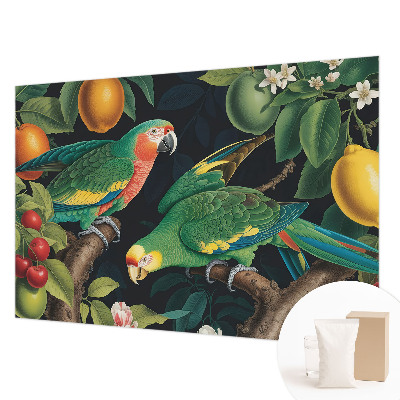 Non-woven photo wallpaper Tropical adventure