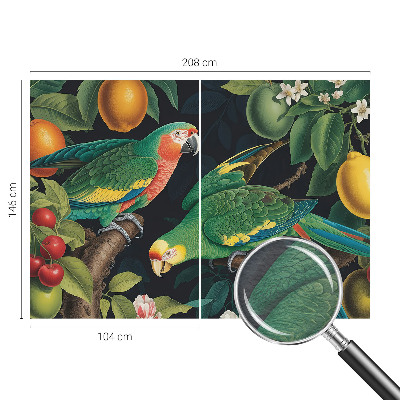 Non-woven photo wallpaper Tropical adventure