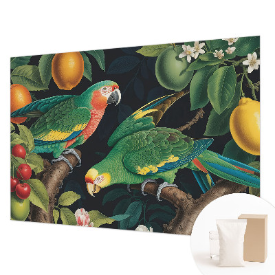 Non-woven photo wallpaper Tropical adventure