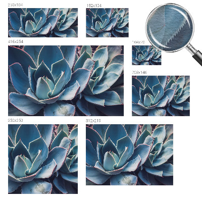 Bedroom wall mural wallpaper Green aloe