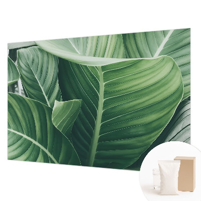 Photo wall mural Green peace