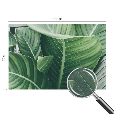 Photo wall mural Green peace