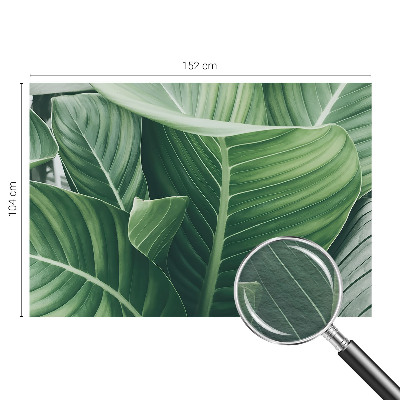 Photo wall mural Green peace