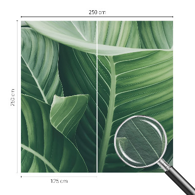 Photo wall mural Green peace