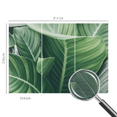 Photo wall mural Green peace
