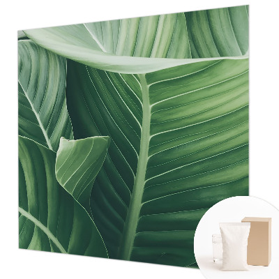 Photo wall mural Green peace