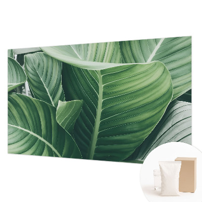 Photo wall mural Green peace