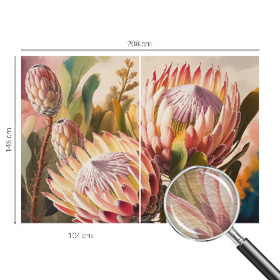 Non-woven photo wallpaper Protea flowers