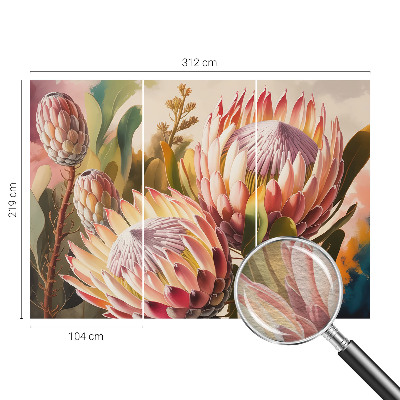 Non-woven photo wallpaper Protea flowers