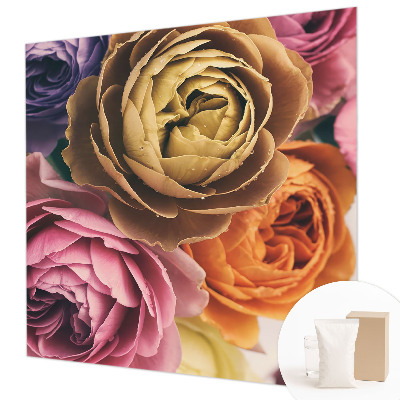 Photo wall mural Colorful roses