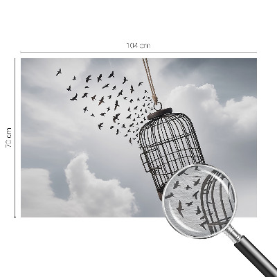 Non-woven photo wallpaper Flying birds
