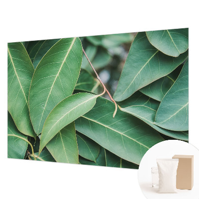 Wallpaper mural for living room Green leaves