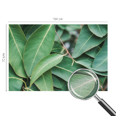 Wallpaper mural for living room Green leaves
