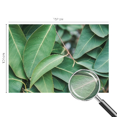 Wallpaper mural for living room Green leaves