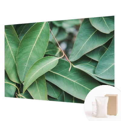 Wallpaper mural for living room Green leaves