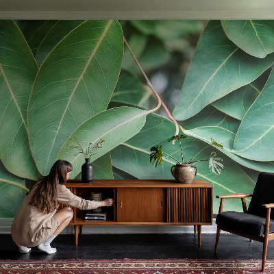 Wallpaper mural for living room Green leaves