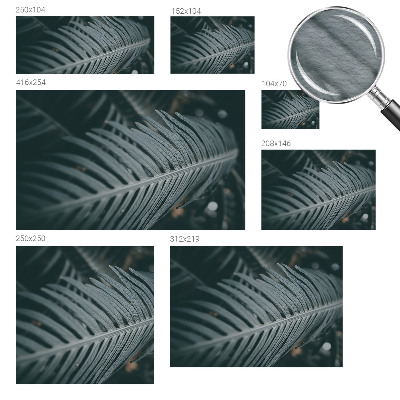 Large wall mural wallpaper Green leaf