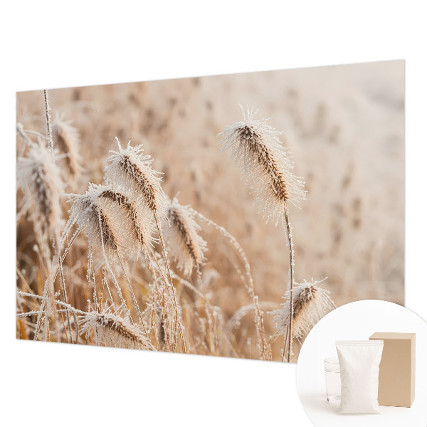 Modern wall mural Winter landscape