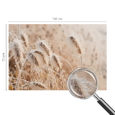 Modern wall mural Winter landscape
