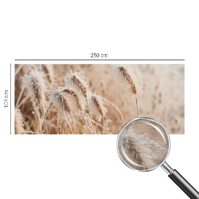 Modern wall mural Winter landscape