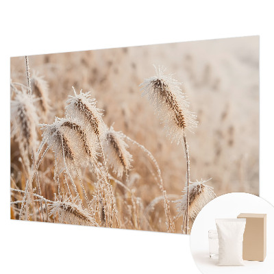 Modern wall mural Winter landscape