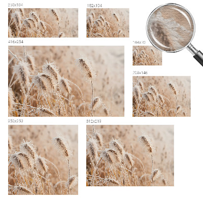 Modern wall mural Winter landscape