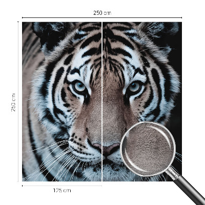 Photo wallpaper Tiger portrait