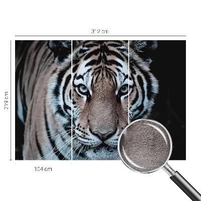 Photo wallpaper Tiger portrait