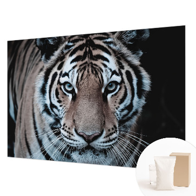 Photo wallpaper Tiger portrait