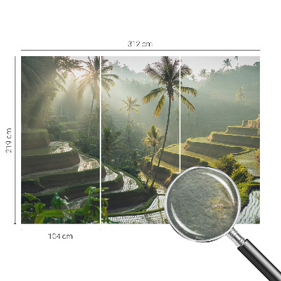 Wallpaper mural for living room Paradise terraces