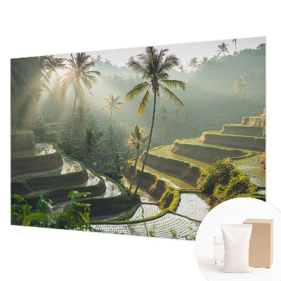 Wallpaper mural for living room Paradise terraces
