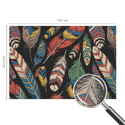 Non-woven wall mural Colorful feathers