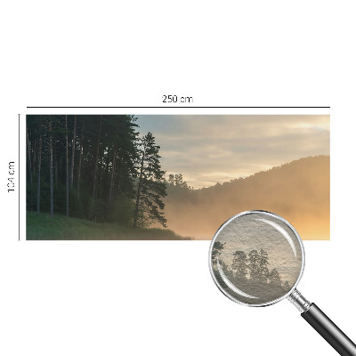 Wall mural Foggy morning
