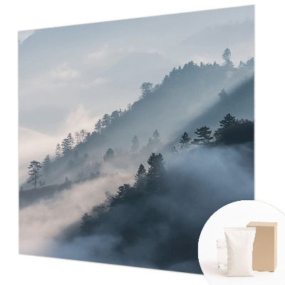 Wall mural for bedroom Foggy landscape