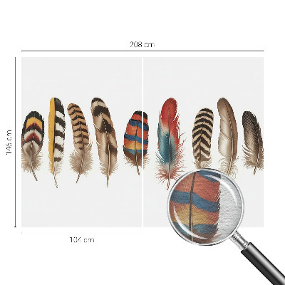 Wallpaper mural for living room Colorful feathers