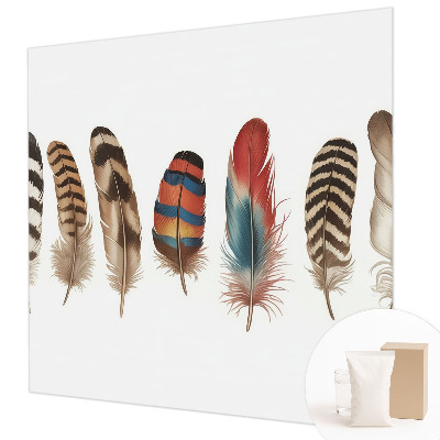 Wallpaper mural for living room Colorful feathers