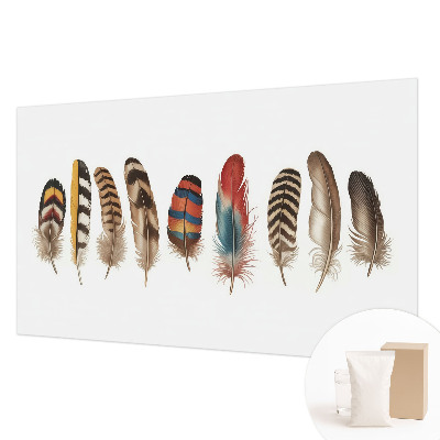 Wallpaper mural for living room Colorful feathers