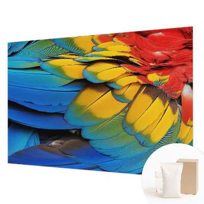 Wall mural for living room Rainbow feathers