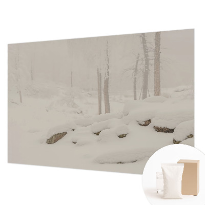 Custom size wall mural Snowy forest