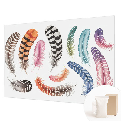 Premium photo wallpaper Pastel feathers