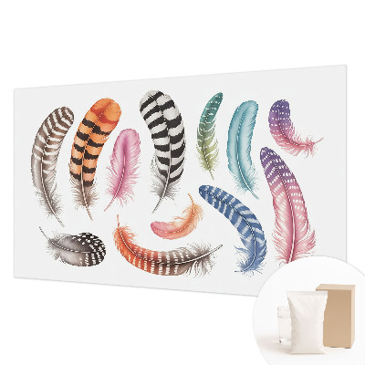 Premium photo wallpaper Pastel feathers