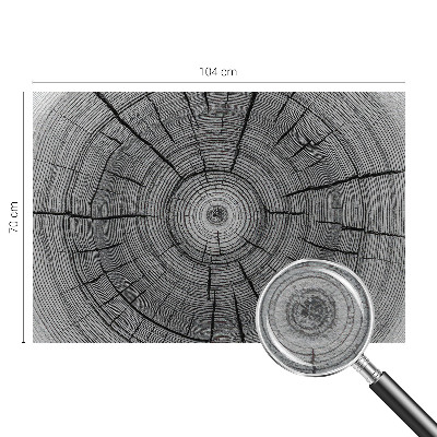 Modern wall mural for living room Forest harmony