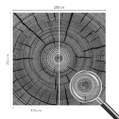 Modern wall mural for living room Forest harmony