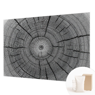 Modern wall mural for living room Forest harmony