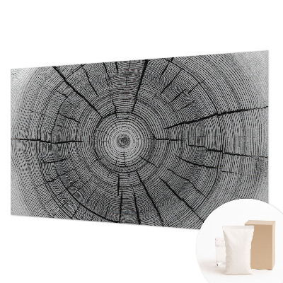 Modern wall mural for living room Forest harmony