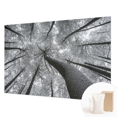 Premium wall mural for bedroom Winter landscape