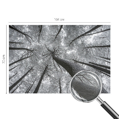 Premium wall mural for bedroom Winter landscape