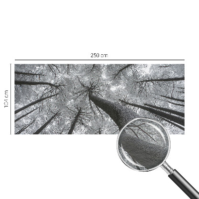 Premium wall mural for bedroom Winter landscape